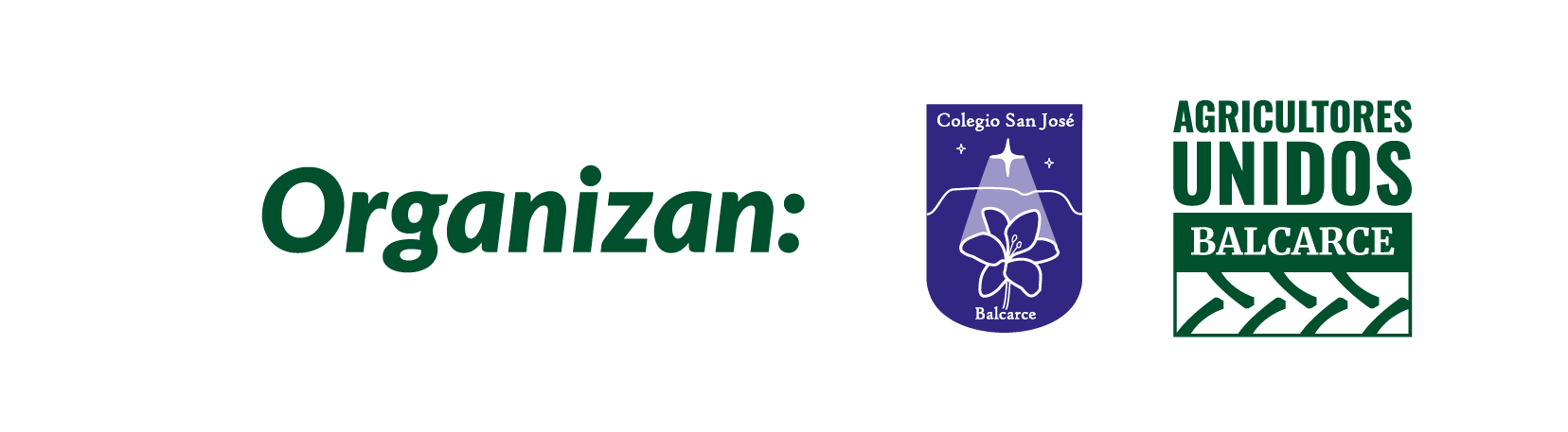 organizadores